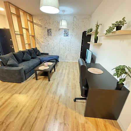 Glam Apartments Lipatti Near Iulius Mall And City Center 蒂米什瓦拉 外观 照片