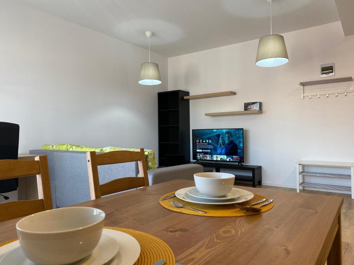 Glam Apartments Lipatti Near Iulius Mall And City Center 蒂米什瓦拉 外观 照片