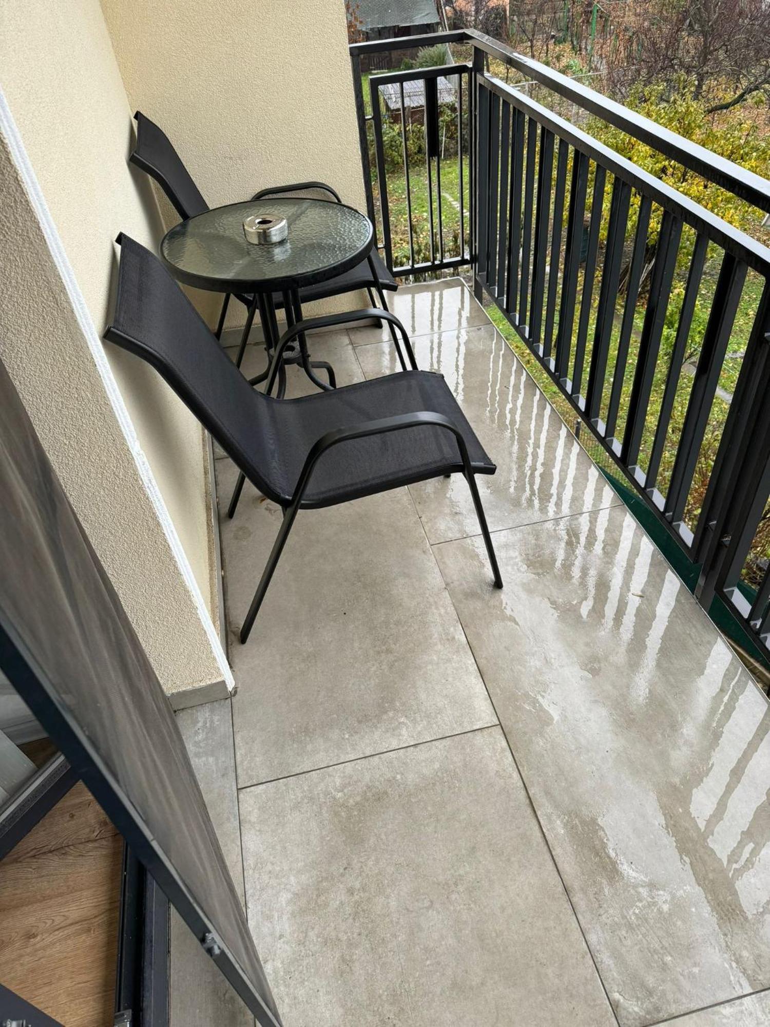Glam Apartments Lipatti Near Iulius Mall And City Center 蒂米什瓦拉 外观 照片