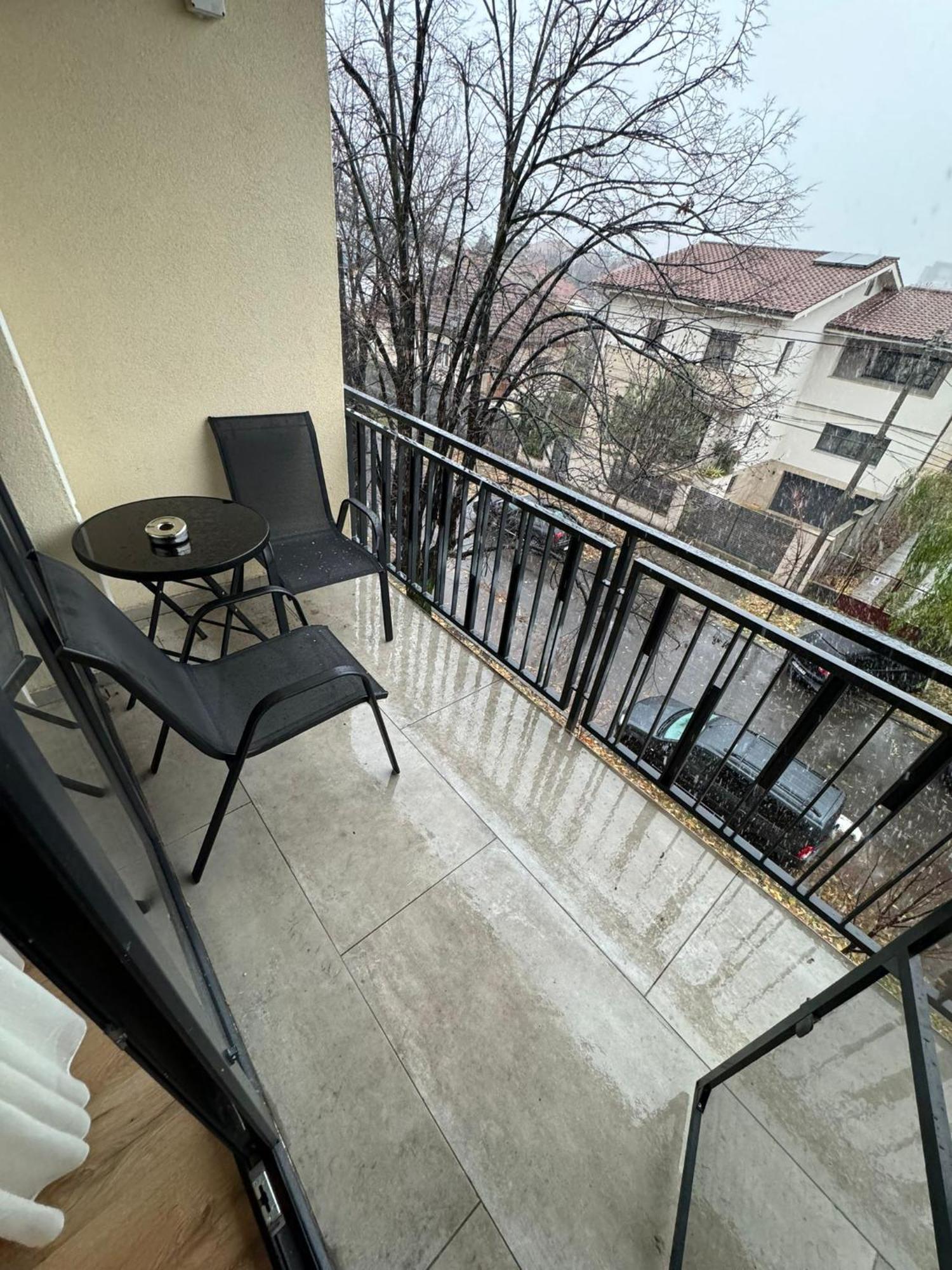 Glam Apartments Lipatti Near Iulius Mall And City Center 蒂米什瓦拉 外观 照片